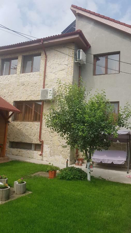 Casa Andrei Techirghiol Hotel Exterior photo